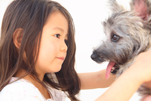 大切な家族である動物と出来るだけ長く暮らせるように 大切な家族である動物と出来るだけ長く暮らせるように